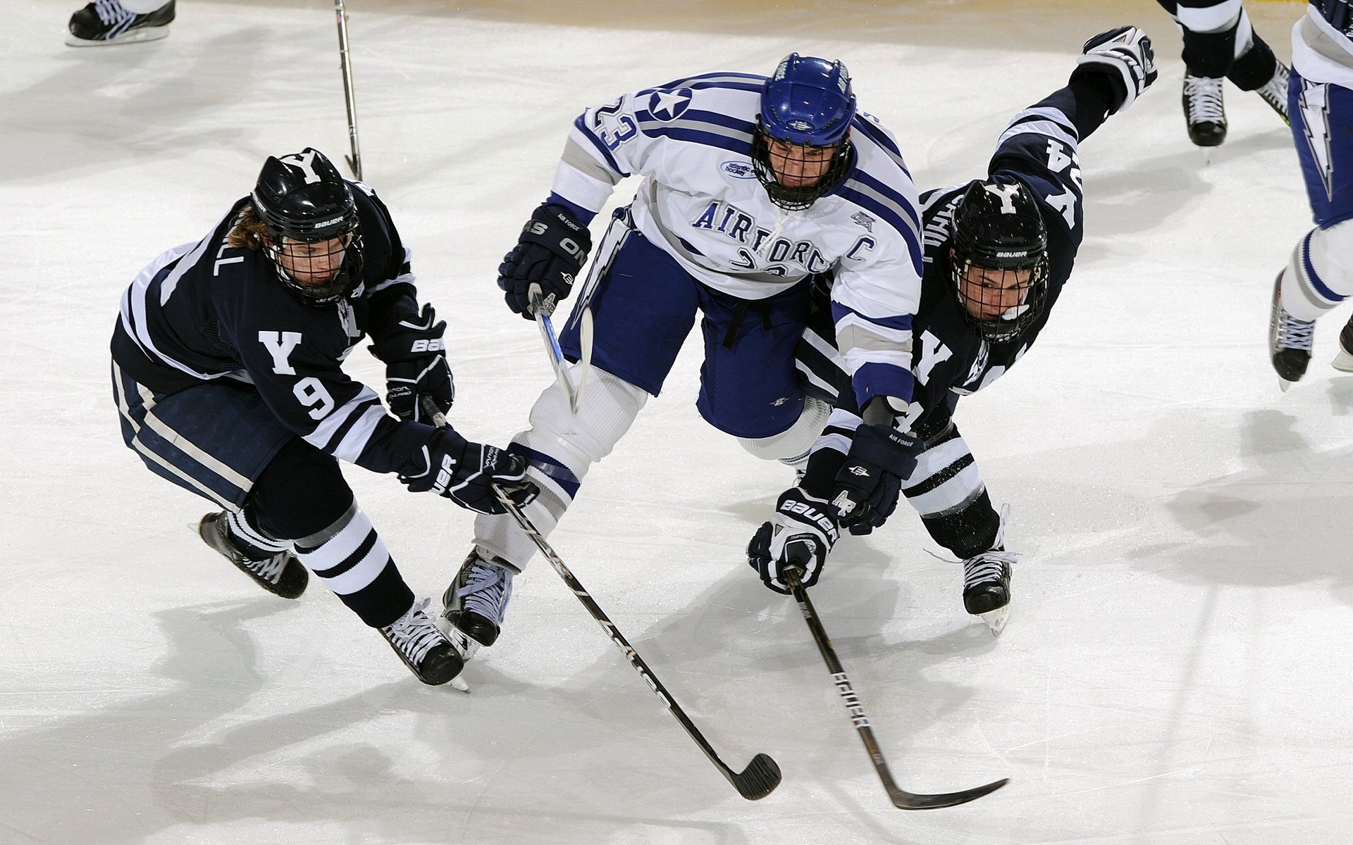 开云官网-“青训+产业+文化”深度融合赋能行业高质量发展，行业面貌持续改善