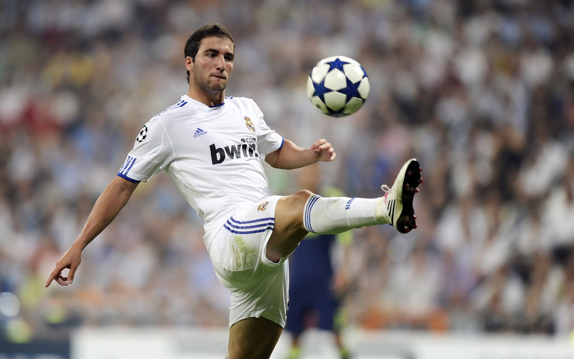 Kaiyun(中国)开云-新星闪耀法甲赛场：未来之星逐步崭露头角，门将未来之星