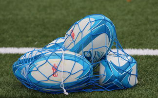 开云官方网页登录-法国橄榄球赛事的票房和赞助收入创历史新高，法国橄榄球国家队